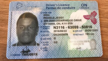 Buy Canadian Driver’s License Online