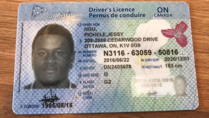 Buy Canadian Driver’s License Online