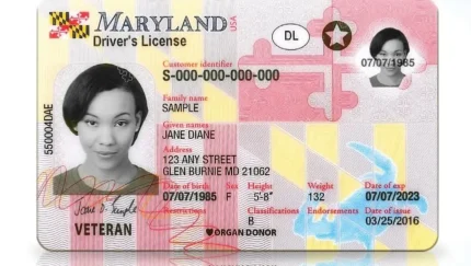 Buy Maryland ID Card Online