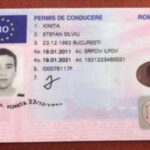 Buy Romanian License Online
