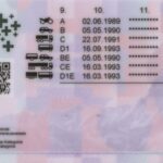 Buy Switzerland in Drivers License Online