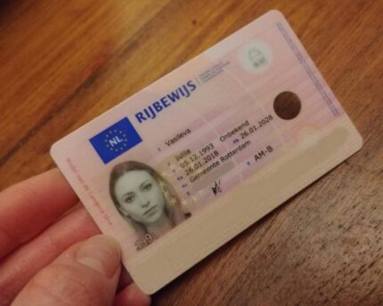 Netherlands Drivers License Online